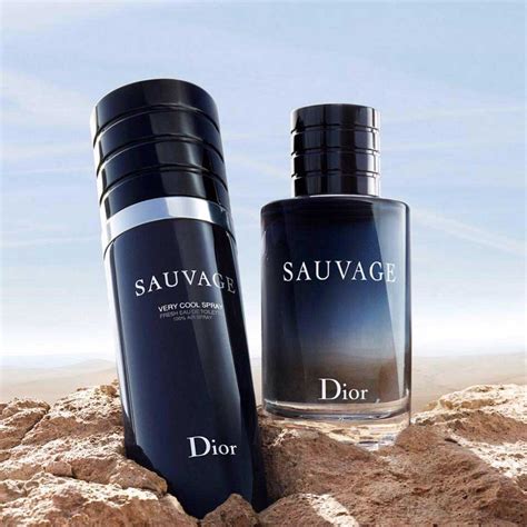 christian dior sauvage very cool spray|Dior very cool spray.